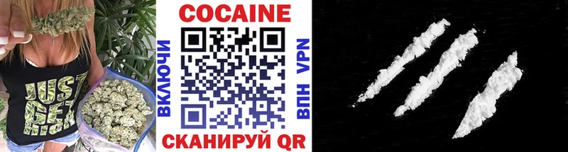 MEGA ССЫЛКА  цены наркотик  Городовиковск  Cocaine Боливия 