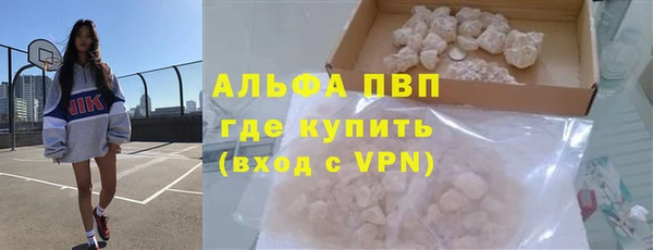 сатива Беломорск