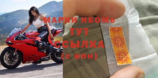 сатива Беломорск