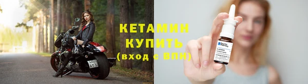 сатива Беломорск