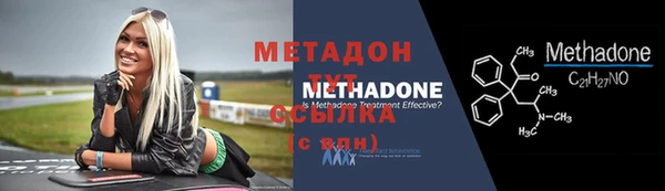 сатива Беломорск