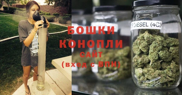 сатива Беломорск