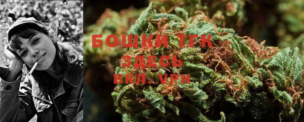 молекула духа Белокуриха