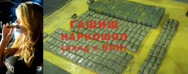 сатива Беломорск