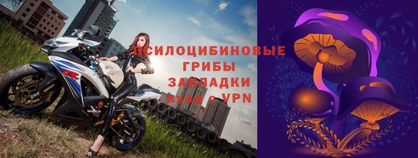 сатива Беломорск