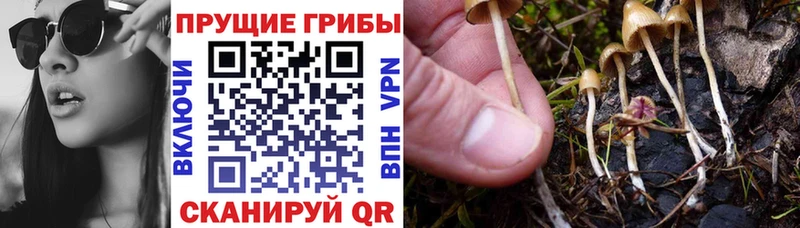 Псилоцибиновые грибы ЛСД  Городовиковск 